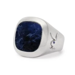 Membership Ring 2.0 -Fashion Clothing Store 003ring3acopya e4d3bc23 6b7b 4094 9e35 3f013fb291c8