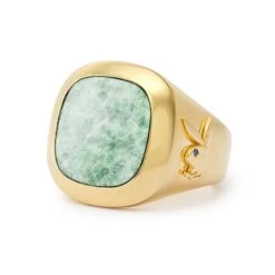 Membership Ring 2.0 -Fashion Clothing Store 004ring4acopyacopy