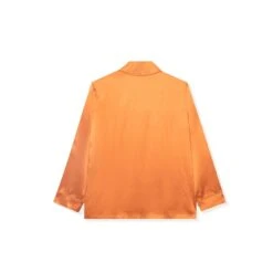 Silk Button Down Collared Top -Fashion Clothing Store BIgBunny Collard Top Rust 002 aeb0eda9 b28e 476b bc67 fa1aa5dc3877