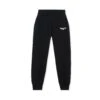 Aviation Wings Jogger Pant -Fashion Clothing Store BIgBunny Skinny Pant Black 001 d942bd33 290f 4f49 86d7 0be59ca35b1f