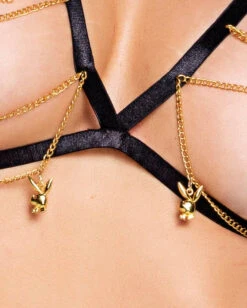 PLAYBOY CHARM X-RATED 2-PIECE SET -Fashion Clothing Store PBLI133 2 600x de6f224e f3c3 4a01 a0c1 e8b2b16812fc