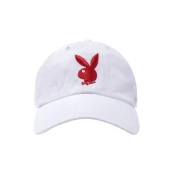 '47 Brand Adjustable Dad Hat